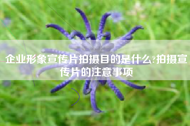 企業(yè)形象宣傳片拍攝目的是什么?拍攝宣傳片的注意事項