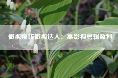 微視賺錢微視達(dá)人：靠影視剪輯盈利