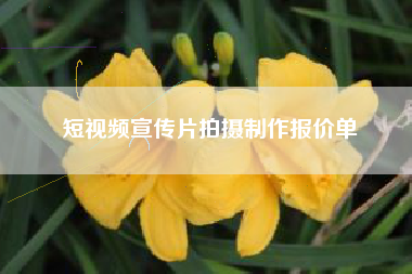 短視頻宣傳片拍攝制作報(bào)價(jià)單