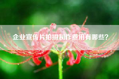 企業(yè)宣傳片拍攝制作費(fèi)用有哪些？