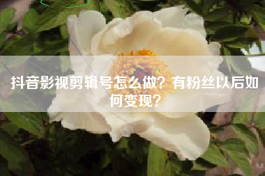 抖音影視剪輯號怎么做？有粉絲以后如何變現(xiàn)？