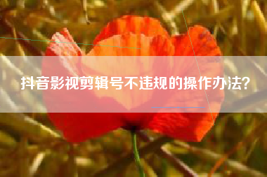 抖音影視剪輯號(hào)不違規(guī)的操作辦法？