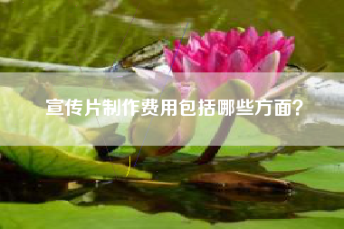 宣傳片制作費(fèi)用包括哪些方面？