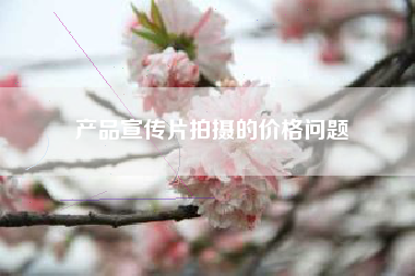 產(chǎn)品宣傳片拍攝的價(jià)格問題