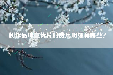 制作品牌宣傳片的費用明細(xì)有哪些？