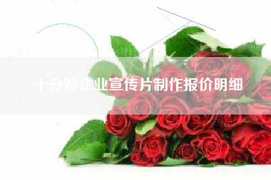 十分鐘企業(yè)宣傳片制作報(bào)價(jià)明細(xì)