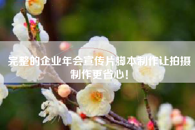 完整的企業(yè)年會宣傳片腳本制作讓拍攝制作更省心！