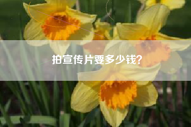 拍宣傳片要多少錢？