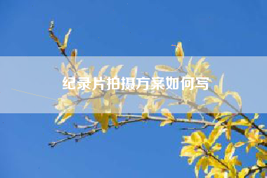 紀錄片拍攝方案如何寫