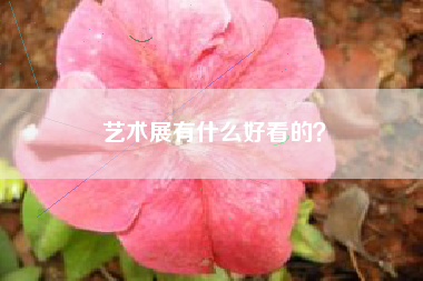 藝術(shù)展有什么好看的？