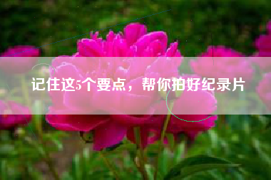 記住這5個(gè)要點(diǎn)，幫你拍好紀(jì)錄片