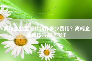 高端企業(yè)宣傳片制作多少費(fèi)用？高端企業(yè)宣傳片制作報(bào)價(jià)