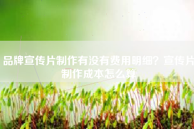 品牌宣傳片制作有沒(méi)有費(fèi)用明細(xì)？宣傳片制作成本怎么算