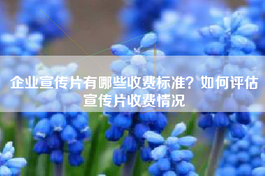 企業(yè)宣傳片有哪些收費標準？如何評估宣傳片收費情況