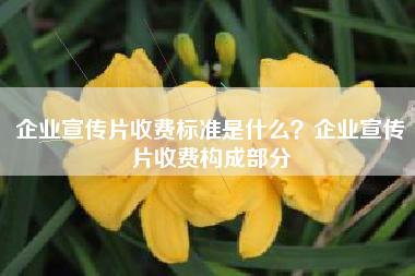 企業(yè)宣傳片收費標(biāo)準(zhǔn)是什么？企業(yè)宣傳片收費構(gòu)成部分