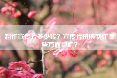 制作宣傳片多少錢？宣傳片拍攝制作哪些方面影響？