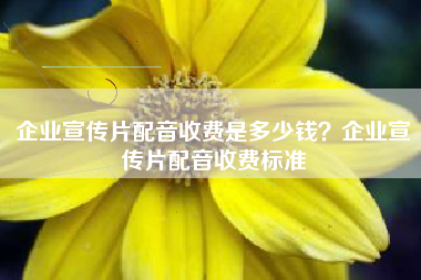 企業(yè)宣傳片配音收費是多少錢？企業(yè)宣傳片配音收費標(biāo)準(zhǔn)