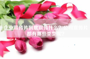 企業(yè)宣傳片到底宣傳什么？公司宣傳片都有哪些類型呢？