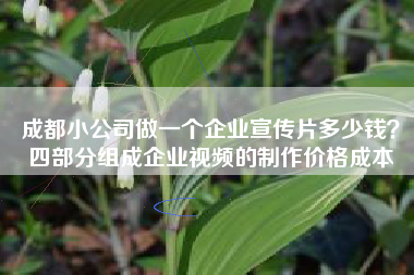 成都小公司做一個(gè)企業(yè)宣傳片多少錢？四部分組成企業(yè)視頻的制作價(jià)格成本