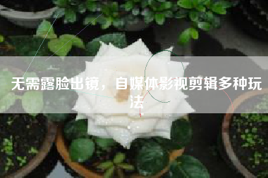 無需露臉出鏡，自媒體影視剪輯多種玩法