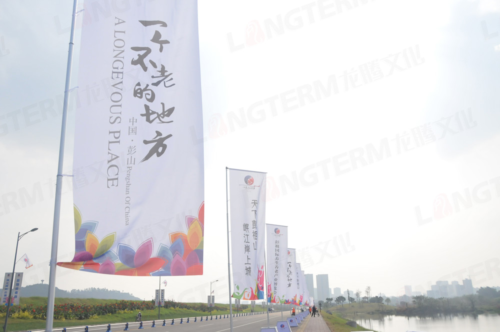 中國(guó)彭山首屆彭祖國(guó)際養(yǎng)生養(yǎng)老產(chǎn)業(yè)博覽會(huì)策劃（高端論壇）