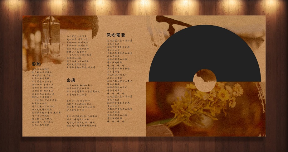 麗江依米  光盤包裝設(shè)計(jì)