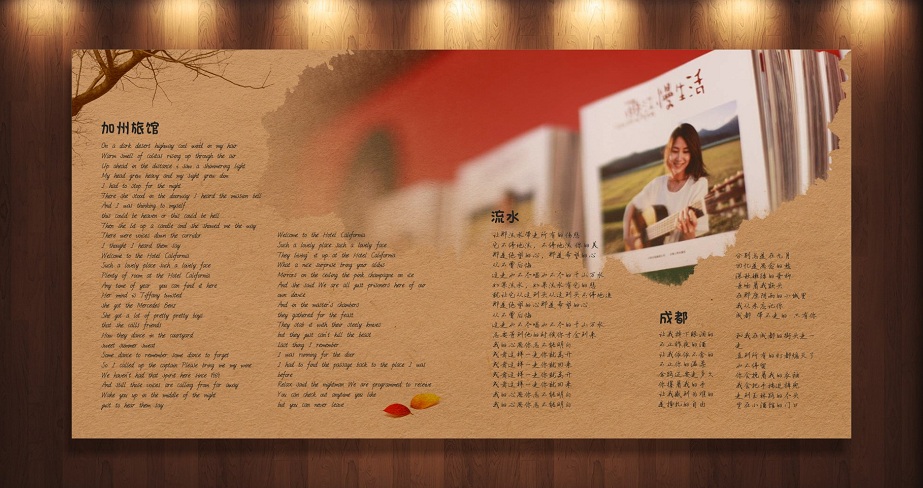 麗江依米  光盤包裝設(shè)計(jì)