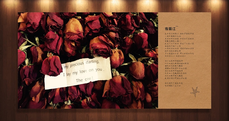 麗江依米  光盤包裝設(shè)計(jì)