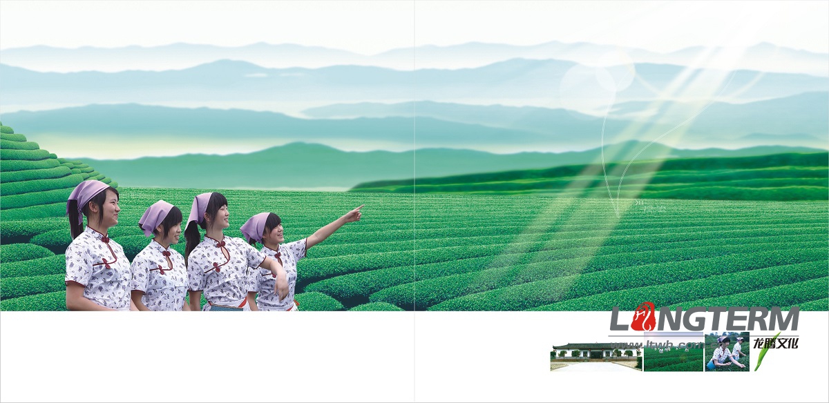 文君茶公司形象宣傳畫冊(cè)設(shè)計(jì)