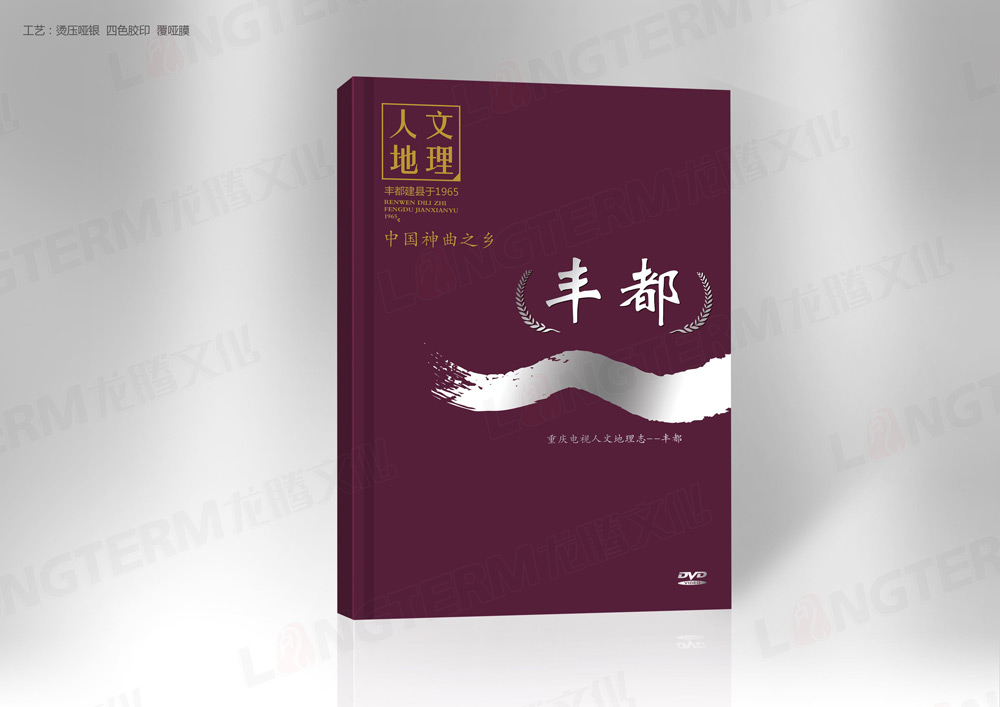 豐都地理文化志光盤包裝設(shè)計