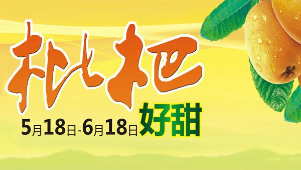 丹棱桔橙琵琶產(chǎn)品宣傳廣告設(shè)計