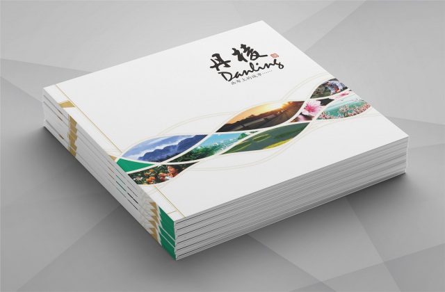 丹棱縣城市形象宣傳畫冊設(shè)計