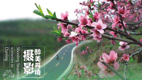 丹棱縣旅游形象宣傳畫冊設(shè)計