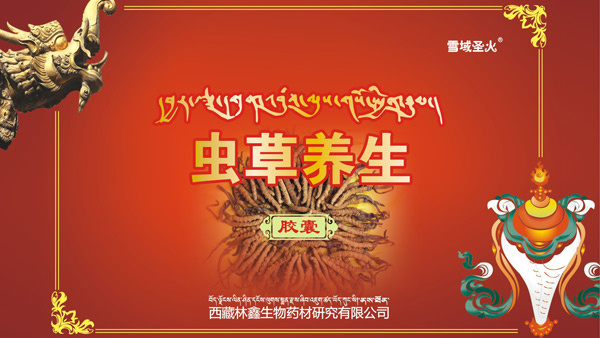 蟲草養(yǎng)生膠囊禮盒包裝設計