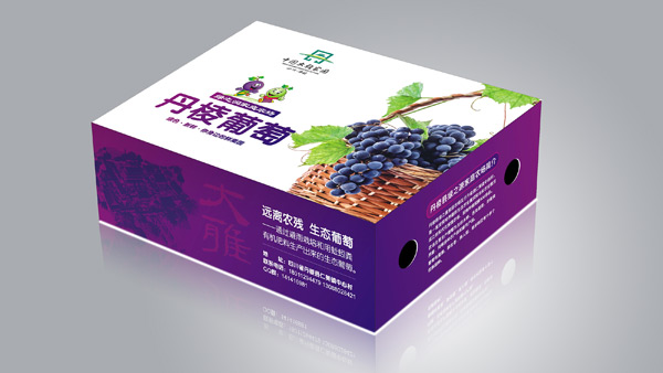 丹棱葡萄禮盒包裝設計